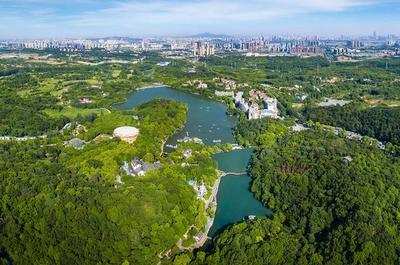 草地露營、國潮音樂節、少兒音樂匯 南京珍珠泉度假區假期精彩紛呈，盡顯卓越園區管理服務